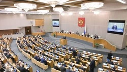 «Единая Россия» сохранила льготы для совершеннолетних детей участников СВО