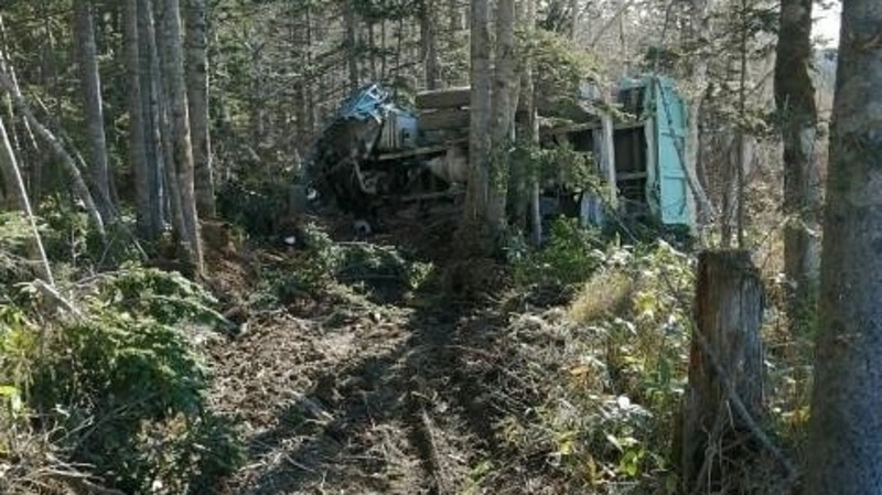 На Сахалине грузовик без тормозов вылетел с дороги, пострадал водитель