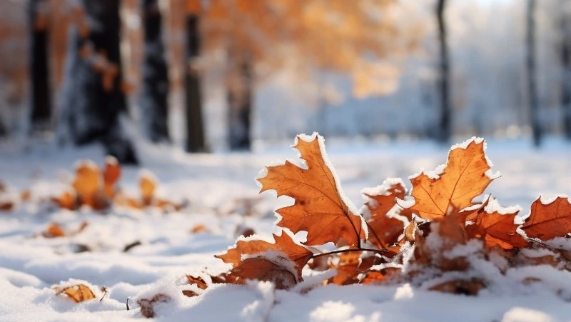 Снег и мороз до –10 градусов накроют несколько районов Сахалинской области 21 октября