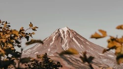 Спасатели эвакуировали туристов, выживших на Камчатке при восхождении на вулкан