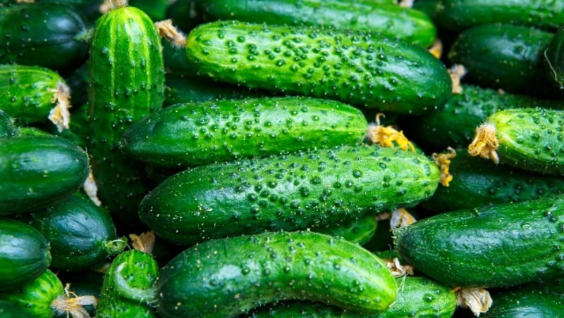 Церковный праздник 22 июля 2024: что нельзя делать в этот день, приметы