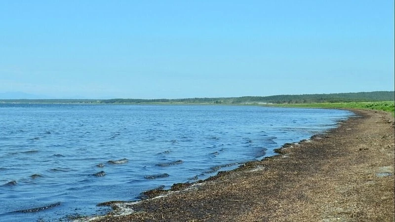 Самолеты-амфибии будут летать в природный парк Буссе на Сахалине