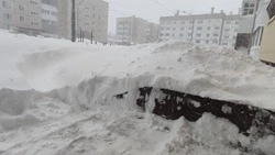 Вывоз мусора остановили на юге Сахалина. Контейнеры превратились в сугробы