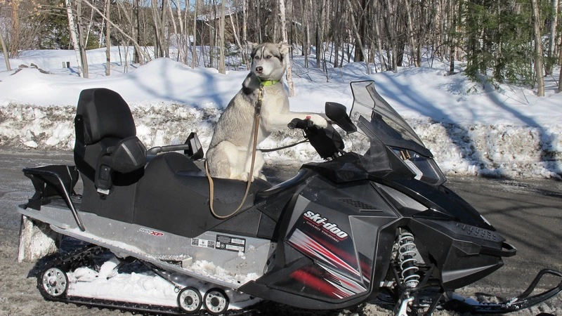 Анивчанин отомстил отчиму за плохие отношения и угнал его снегоход