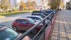 Деревья мешают расширить парковку возле торгового центра в Южно-Сахалинске