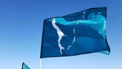 Депутат Госдумы от Сахалина поздравил островитян с Днем регионального флага