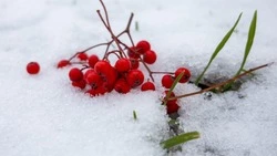 В Южно-Сахалинске 26 марта потеплеет до +8 градусов