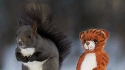 Фотофакт: новогодние белки позировали с символом 2022 года на Сахалине