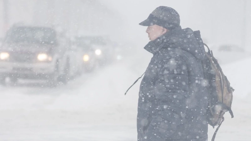 Месячная норма снега выпала на севере Сахалина за серию циклонов