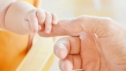 Сахалинцам расскажут об усыновлении в «Школе приемного родителя»