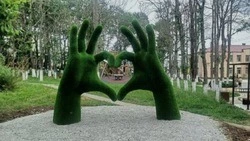 Очень успешный проект