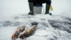 Подготовка к фестивалю «Сахалинский лед-2025» стартовала в островном регионе 