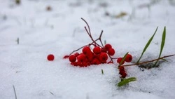 Снегопад не прекратится на Сахалине 7 ноября