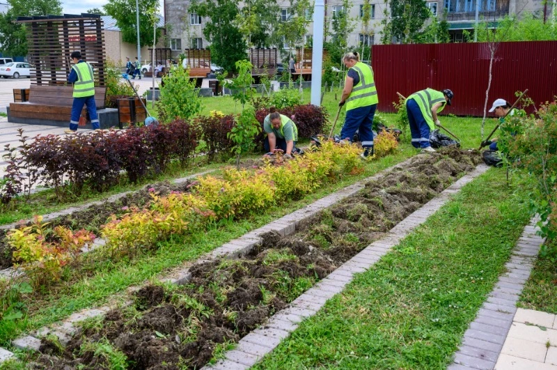 Бархатцы, бегония, сальвия: полторы тысячи цветов высадили в сквере в Луговом 