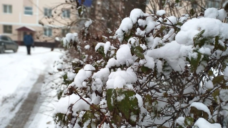 Сильный ветер и осадки будут в Сахалинской области 12 апреля