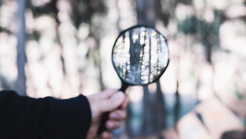 Пропавшую в смирныховском лесу семью нашли спустя пять дней