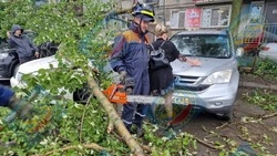 Спасатели избавились от подозрительной сумки у здания МФЦ в Южно-Сахалинске