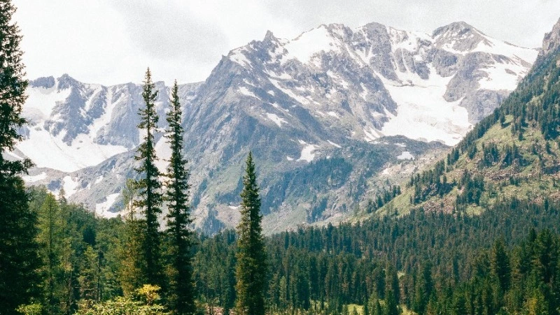 Делегация Сахалина заключила важное соглашение в Алтайском крае