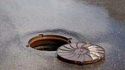 «А если бы ребенок упал!»: на Сахалине собака провалилась в глубокий колодец