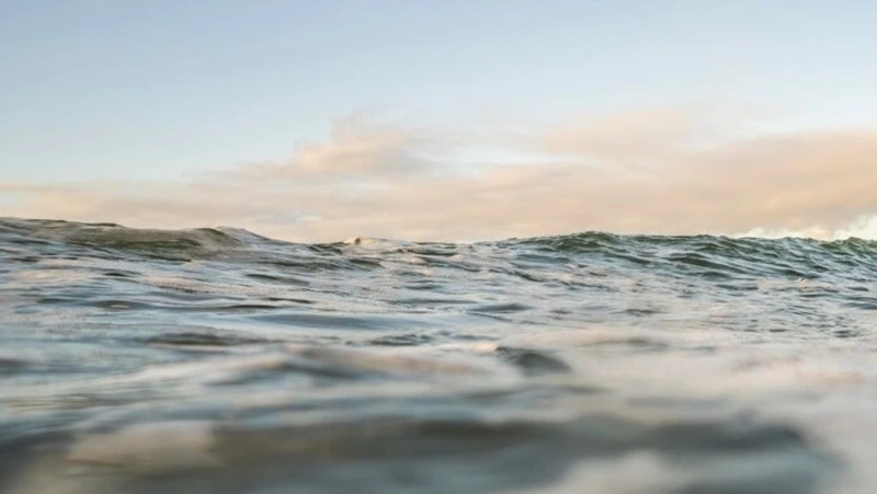 Землетрясение магнитудой 4,5 произошло у берегов Парамушира в Охотском море