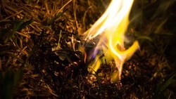 Сухая трава загорелась на площади 150 квадратных метров в Невельском районе 