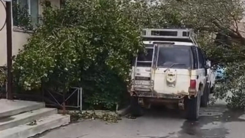 «Едва не задело детскую площадку»: дерево упало на Land Cruiser во дворе дома в Южно-Сахалинске