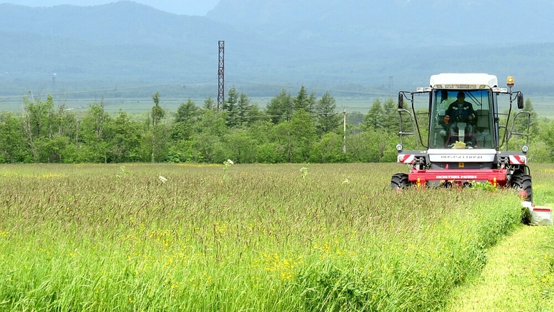 15 украинцев нашли работу в сахалинском совхозе «Заречное»