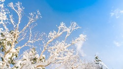 Погода в Южно-Сахалинске 14 февраля: +2 и ясное небо 