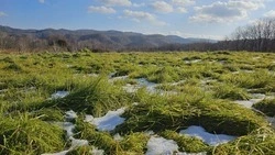 Вторая жизнь полигона