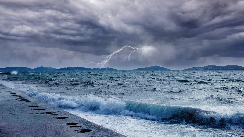 Волны цунами после землетрясения на Камчатке достигли берегов двух штатов США 