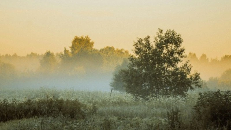 Туман и до +27 градусов ждет жителей Сахалина и Курил 11 июля