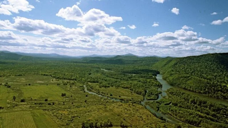 Земли лесного фонда дадут развитие программе «Дальневосточный гектар»