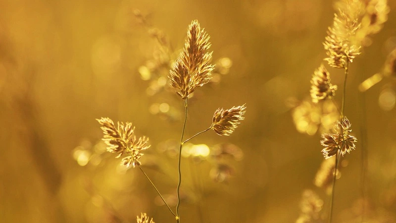 Синоптики пообещали рекордно жаркий год