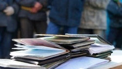 Более 30 нелегальных мигрантов выдворили с Сахалина с начала 2026 года