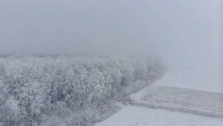 Готовьтесь к непогоде: Сахалин накроет метель 8 января