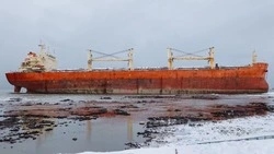 На Сахалине подвели итоги операции после выброса на мель китайского грузового судна AN YANG 2