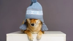 Отопление и горячую воду отключат на трех улицах Южно-Сахалинска 19 декабря