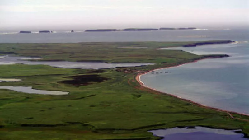 Россия больше не будет обсуждать с Японией передачу Курильских островов