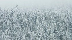 Морозы до -35 градусов и сильный ветер придут на север Сахалина 3 декабря