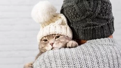 Без отопления остались шесть улиц Южно-Сахалинска 22 декабря 