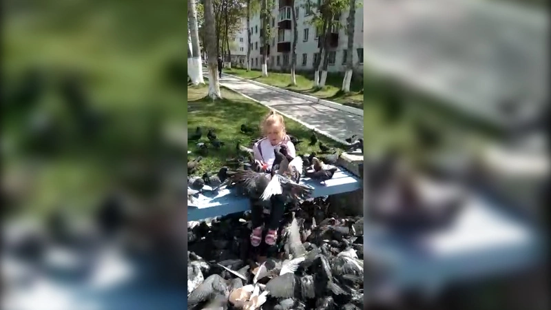 Конкурс «Жги, детка!»: маленькая Ксения и миллион голубей