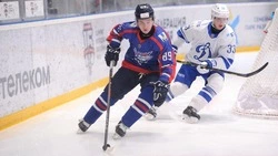 «Сахалинские акулы» откроют домашний хоккейный сезон матчем с московским «Динамо»