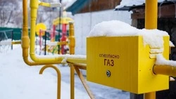 Новый газопровод во Владимировке обеспечит теплом 127 частных домов