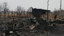 В Углегорске из-за пожара в конюшне 11 лошадей КСК «Станица» остались без крова и корма