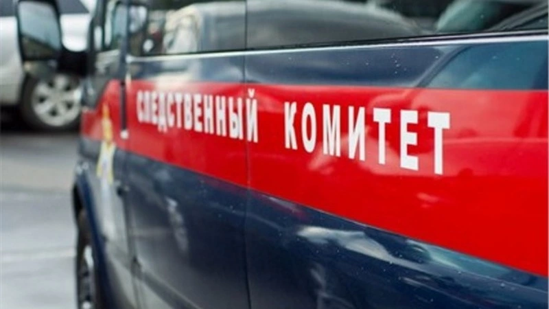 В сахалинском следкоме подтвердили, что 8-летняя девочка умерла насильственной смертью