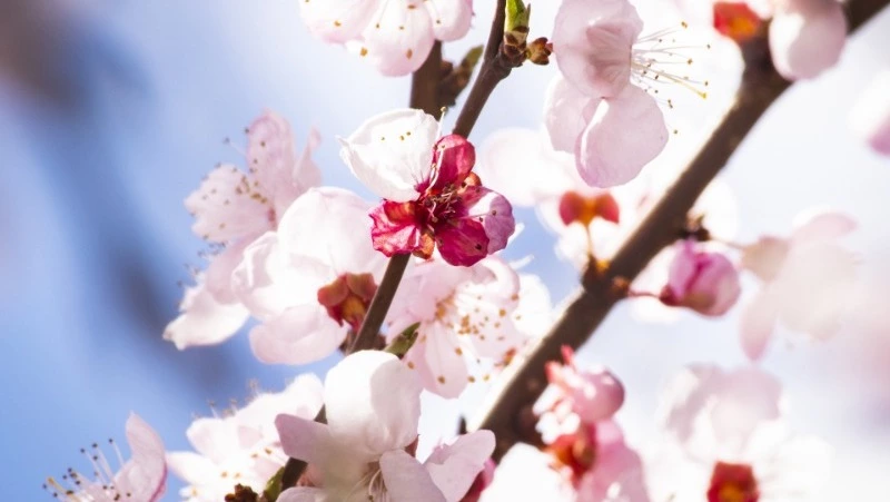 Отчет за год и проблемы с водой в Углегорском районе: итоги недели губернатора