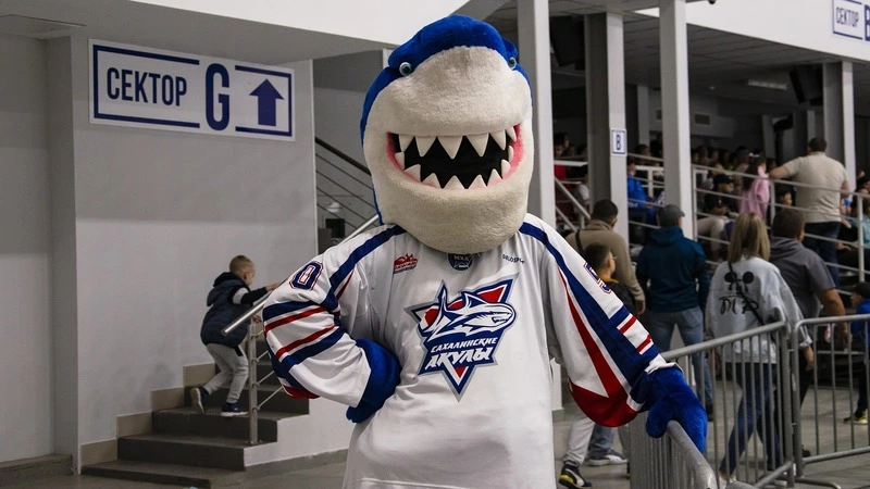 «Сахалинские акулы» попробуют откусить очки у «Русских витязей»