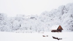 Прогноз погоды на Сахалине и Курилах 3 января: небольшой снег и до 0 градусов Цельсия