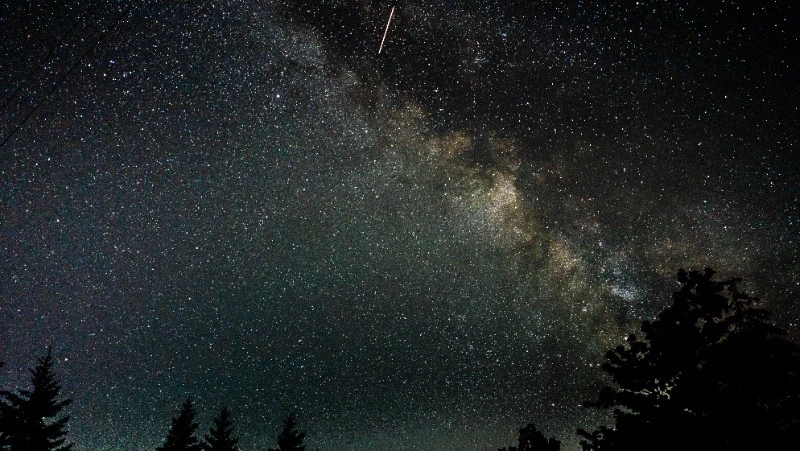 Гороскоп на 16 июля: Львы столкнутся с трудностями, Рыбы посвятят день себе