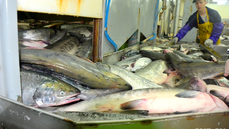 ТОР «Курилы» исполнилось 3 года